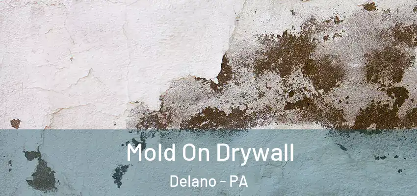 Mold On Drywall Delano - PA