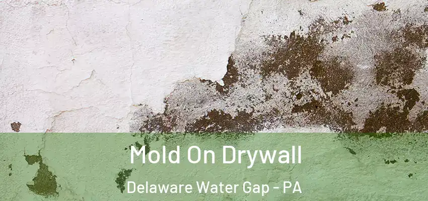 Mold On Drywall Delaware Water Gap - PA