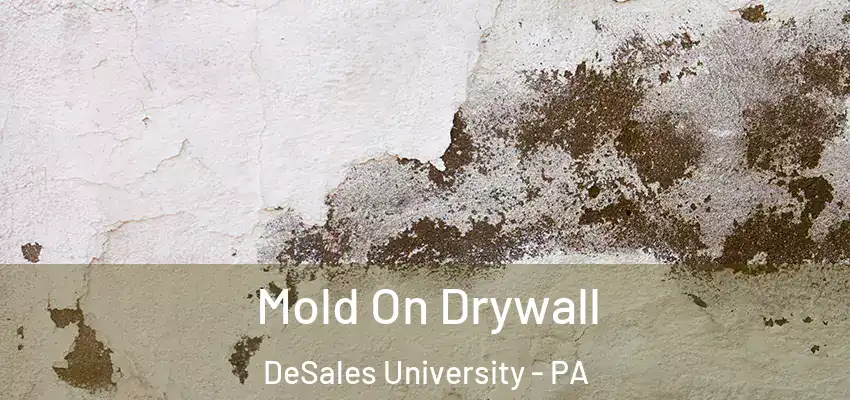 Mold On Drywall DeSales University - PA