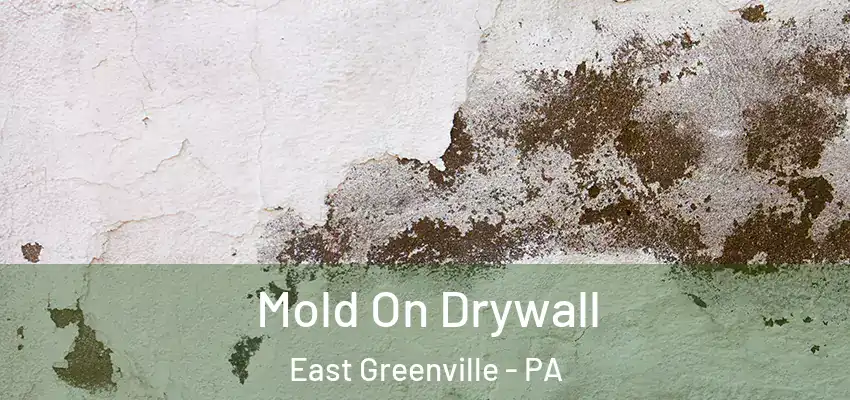 Mold On Drywall East Greenville - PA