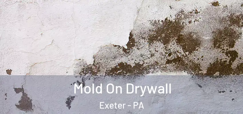 Mold On Drywall Exeter - PA