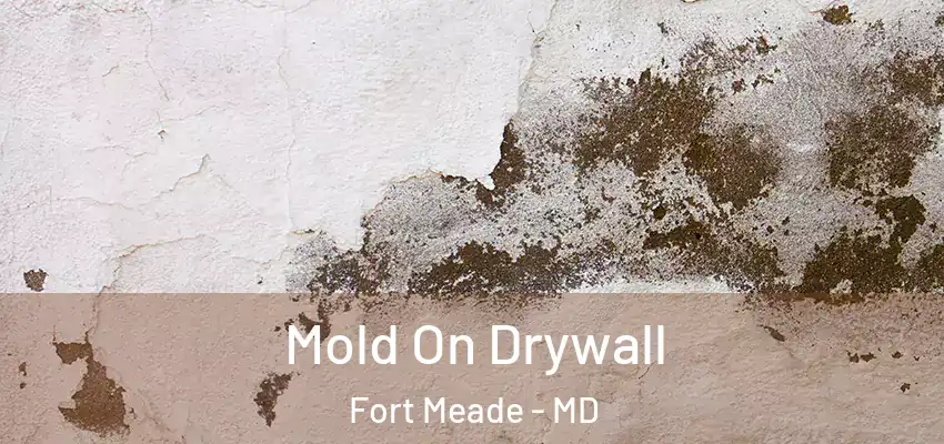 Mold On Drywall Fort Meade - MD