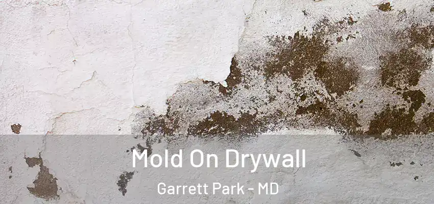  Mold On Drywall Garrett Park - MD