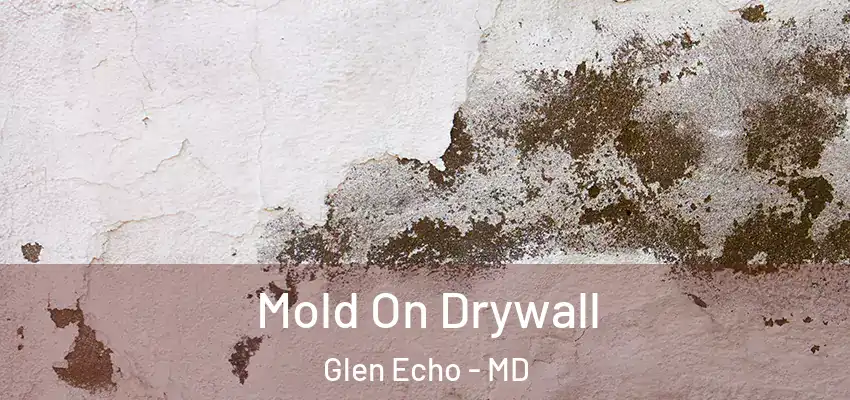Mold On Drywall Glen Echo - MD