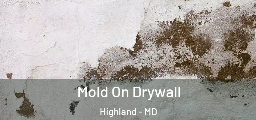  Mold On Drywall Highland - MD