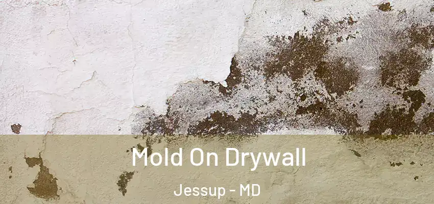 Mold On Drywall Jessup - MD