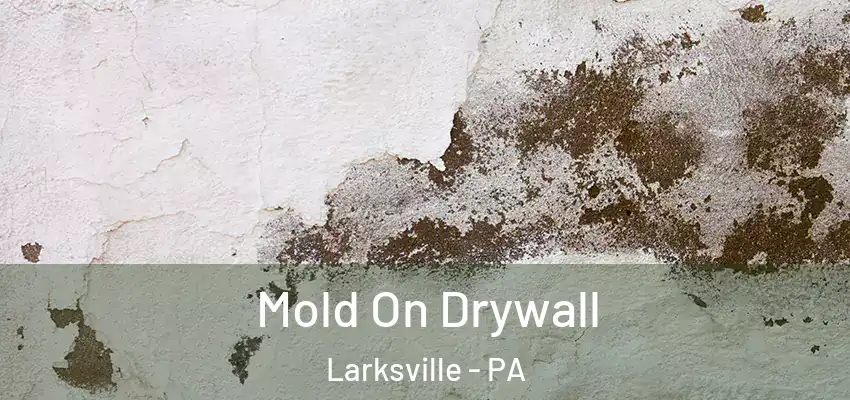 Mold On Drywall Larksville - PA