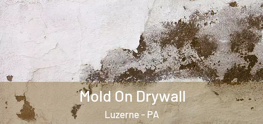 Mold On Drywall Luzerne - PA