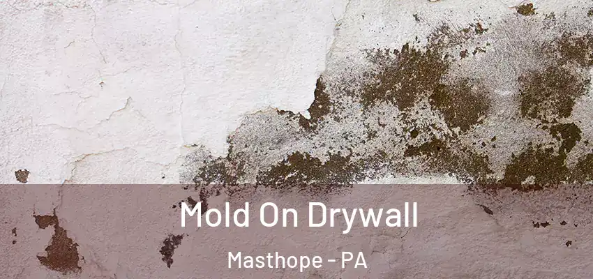  Mold On Drywall Masthope - PA