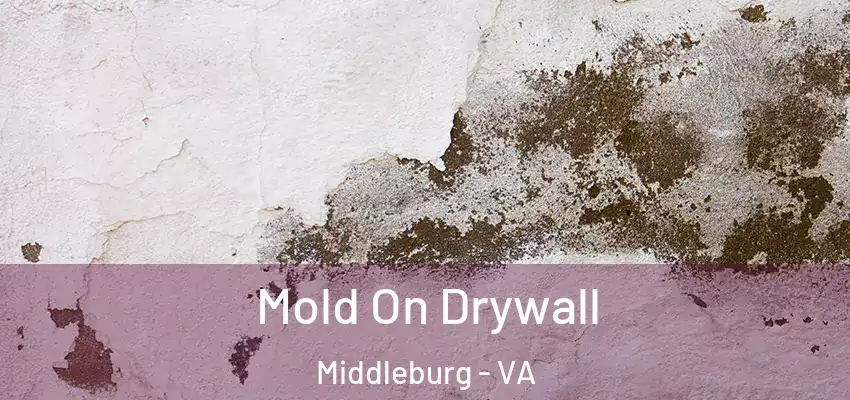 Mold On Drywall Middleburg - VA