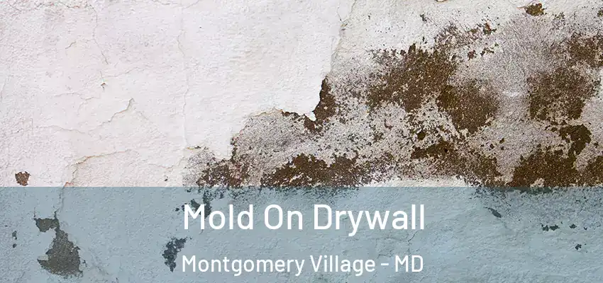 Mold On Drywall Montgomery Village - MD