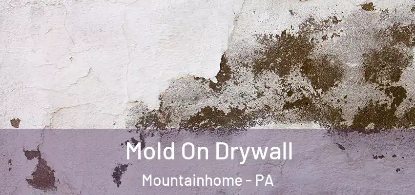 Mold On Drywall Mountainhome - PA