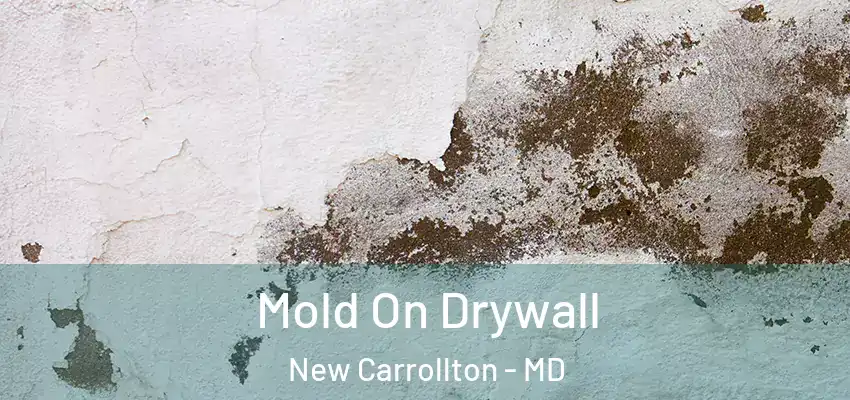 Mold On Drywall New Carrollton - MD