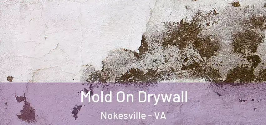  Mold On Drywall Nokesville - VA
