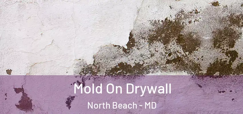 Mold On Drywall North Beach - MD