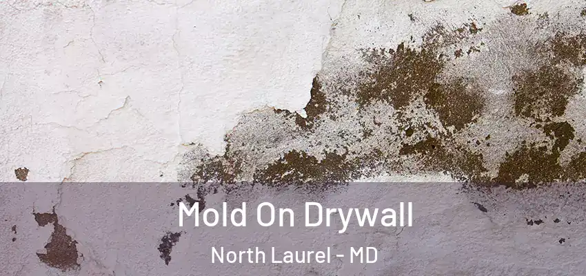Mold On Drywall North Laurel - MD