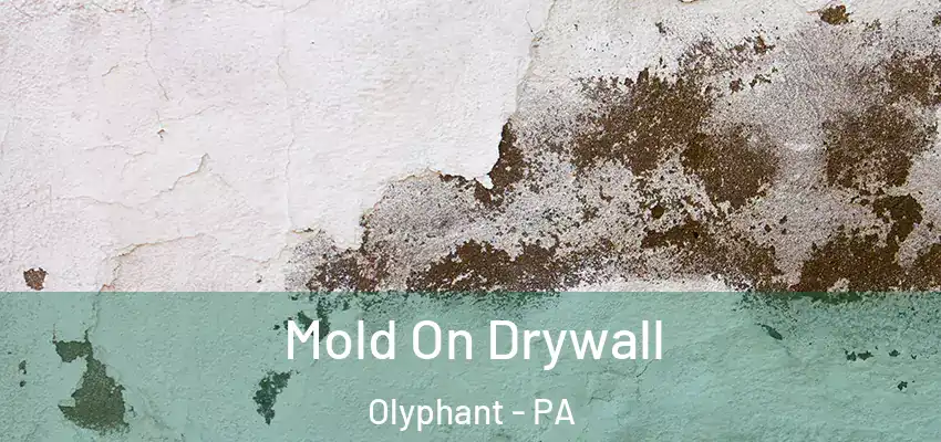 Mold On Drywall Olyphant - PA