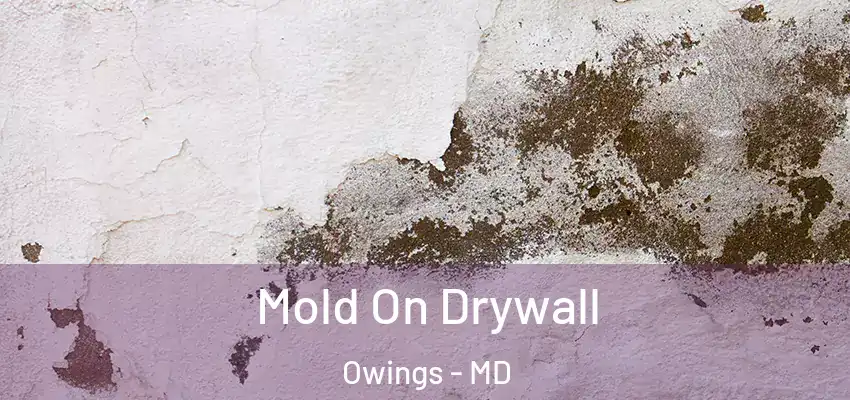 Mold On Drywall Owings - MD