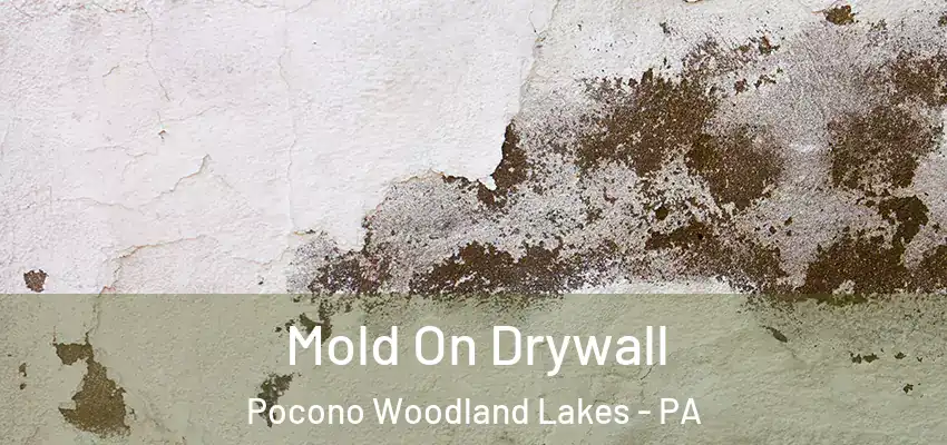 Mold On Drywall Pocono Woodland Lakes - PA
