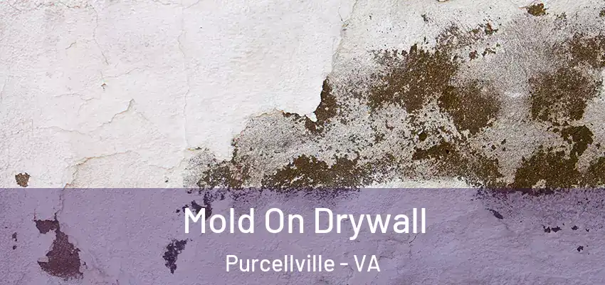  Mold On Drywall Purcellville - VA