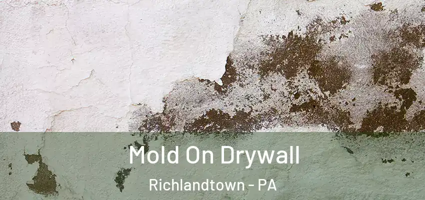 Mold On Drywall Richlandtown - PA