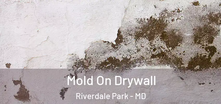Mold On Drywall Riverdale Park - MD