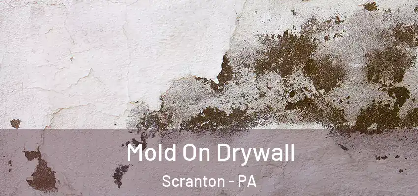 Mold On Drywall Scranton - PA