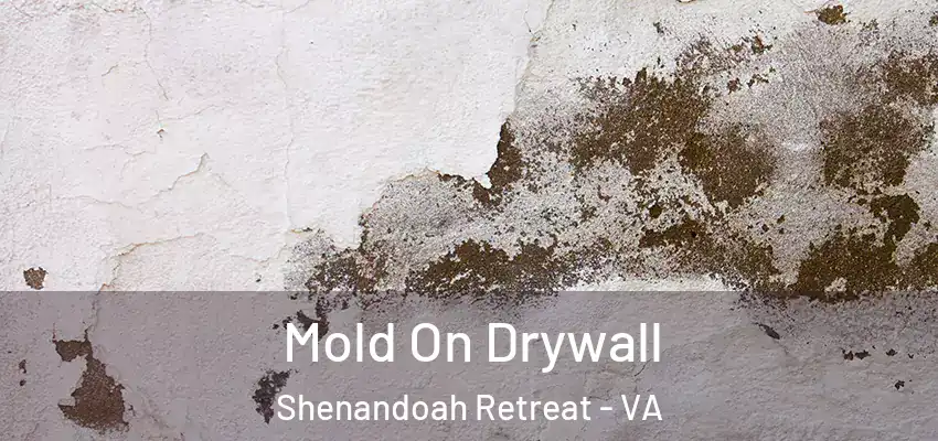  Mold On Drywall Shenandoah Retreat - VA
