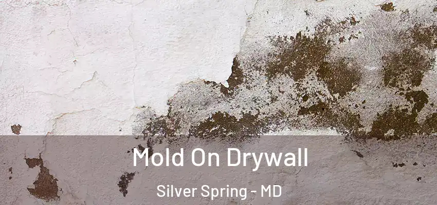 Mold On Drywall Silver Spring - MD