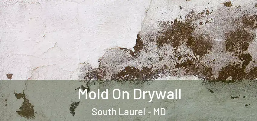 Mold On Drywall South Laurel - MD