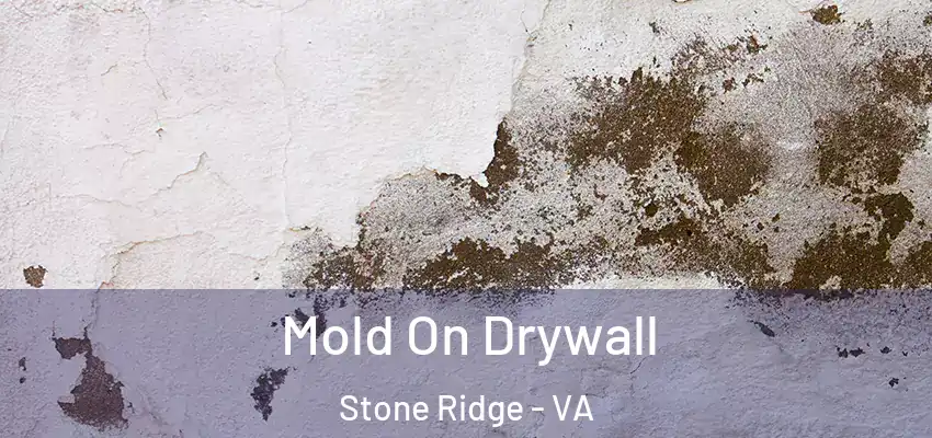  Mold On Drywall Stone Ridge - VA