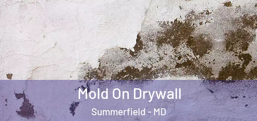 Mold On Drywall Summerfield - MD