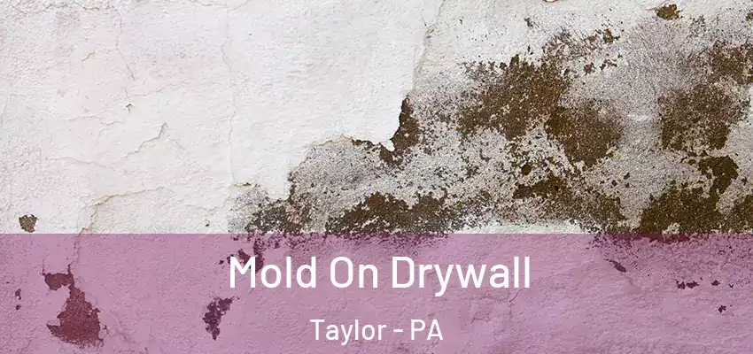 Mold On Drywall Taylor - PA