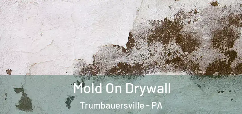 Mold On Drywall Trumbauersville - PA