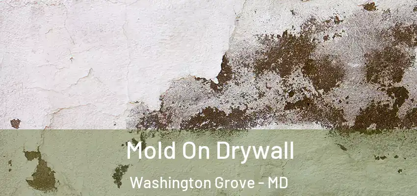 Mold On Drywall Washington Grove - MD