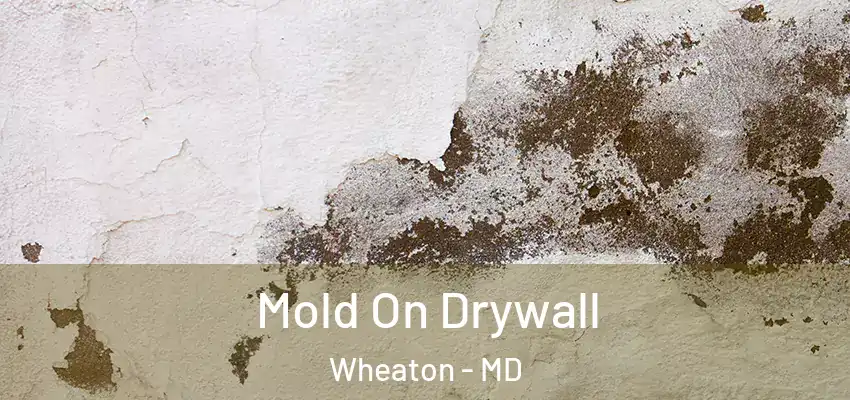 Mold On Drywall Wheaton - MD