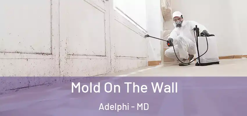  Mold On The Wall Adelphi - MD