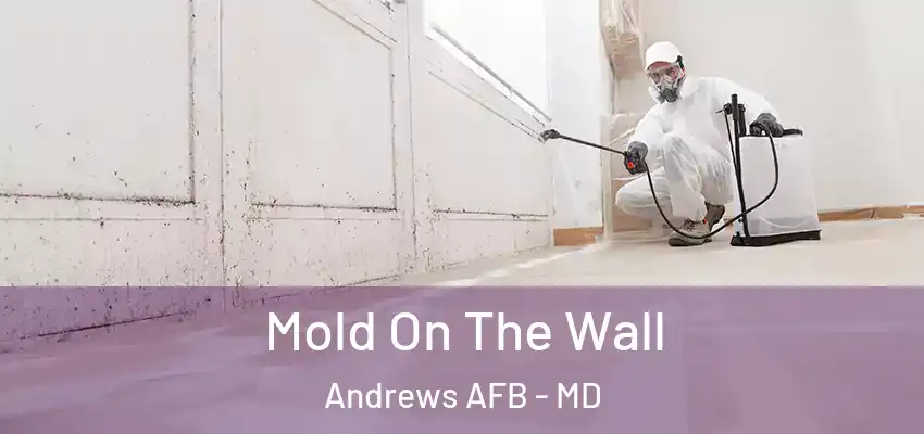  Mold On The Wall Andrews AFB - MD
