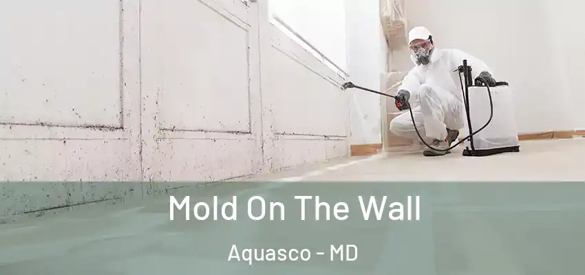 Mold On The Wall Aquasco - MD