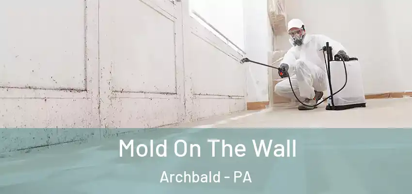  Mold On The Wall Archbald - PA
