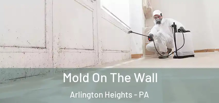  Mold On The Wall Arlington Heights - PA