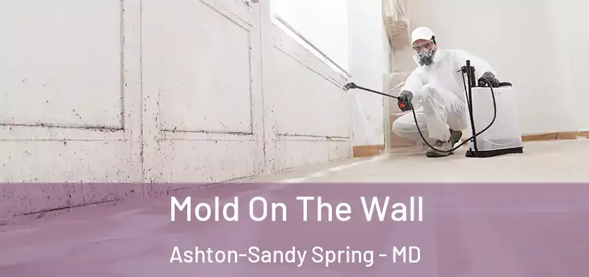 Mold On The Wall Ashton-Sandy Spring - MD