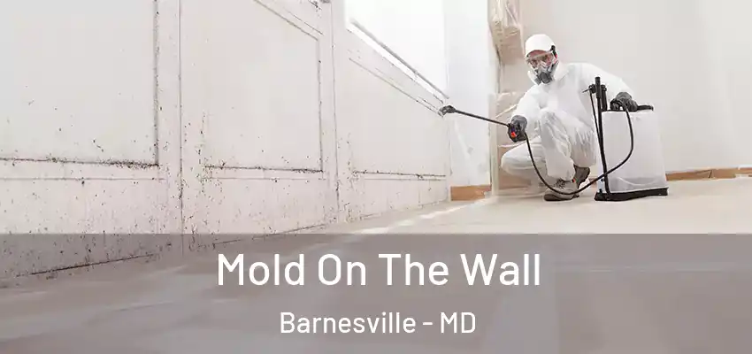  Mold On The Wall Barnesville - MD