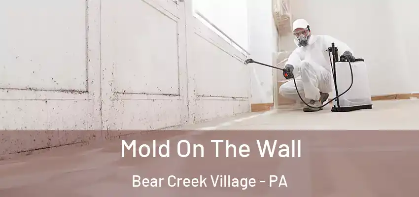  Mold On The Wall Bear Creek Village - PA