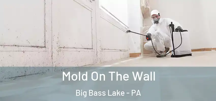  Mold On The Wall Big Bass Lake - PA
