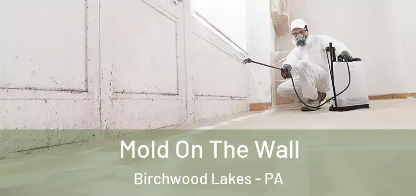  Mold On The Wall Birchwood Lakes - PA