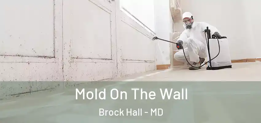  Mold On The Wall Brock Hall - MD