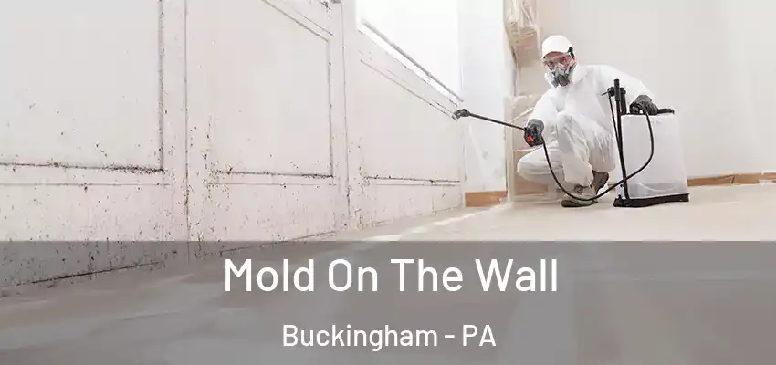  Mold On The Wall Buckingham - PA