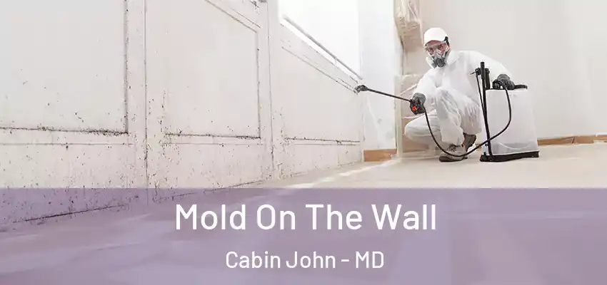 Mold On The Wall Cabin John - MD