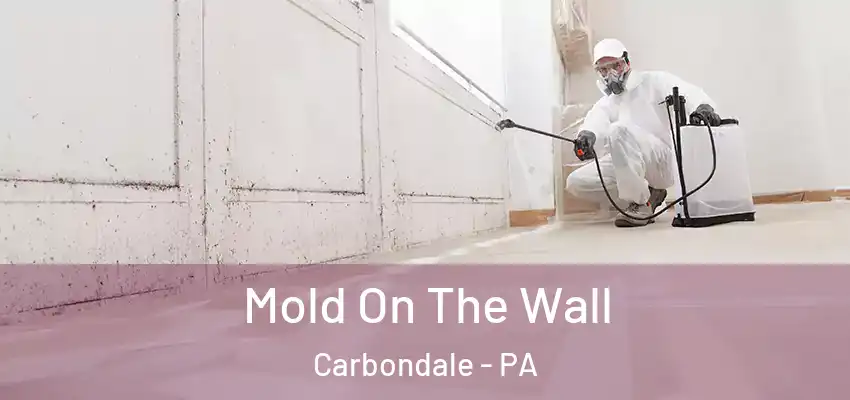  Mold On The Wall Carbondale - PA